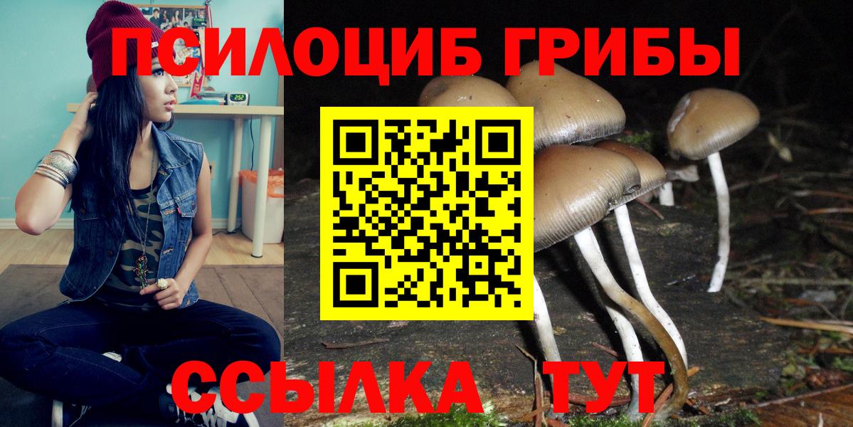 купить наркотик  Псилоцибиновые грибы ЛСД  Вход с VPN  Югорск  Галлюциногенные грибы Psilocybine cubensis 